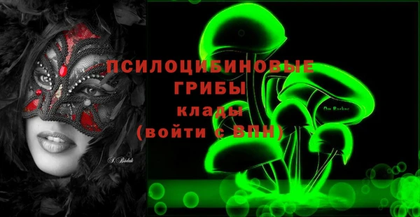 бутират Снежногорск